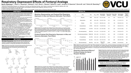 Respiratory Depressant Effects of Fentanyl Analogs<br>